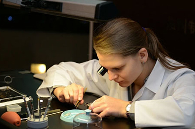 帕玛强尼北京保养服务中心地址有哪些？